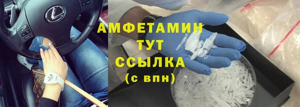 трава Медвежьегорск