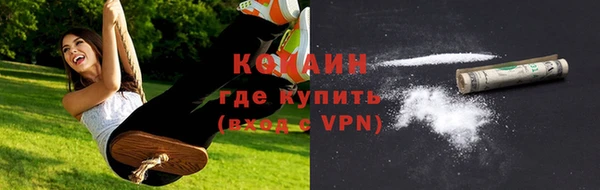трава Медвежьегорск
