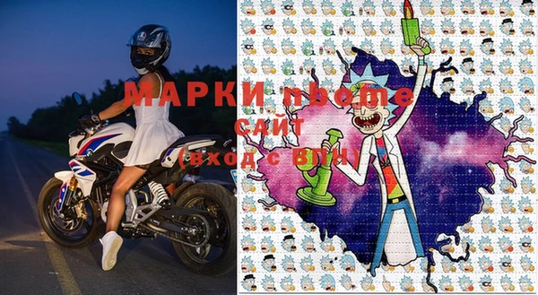 трава Медвежьегорск