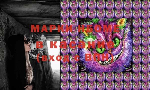трава Медвежьегорск