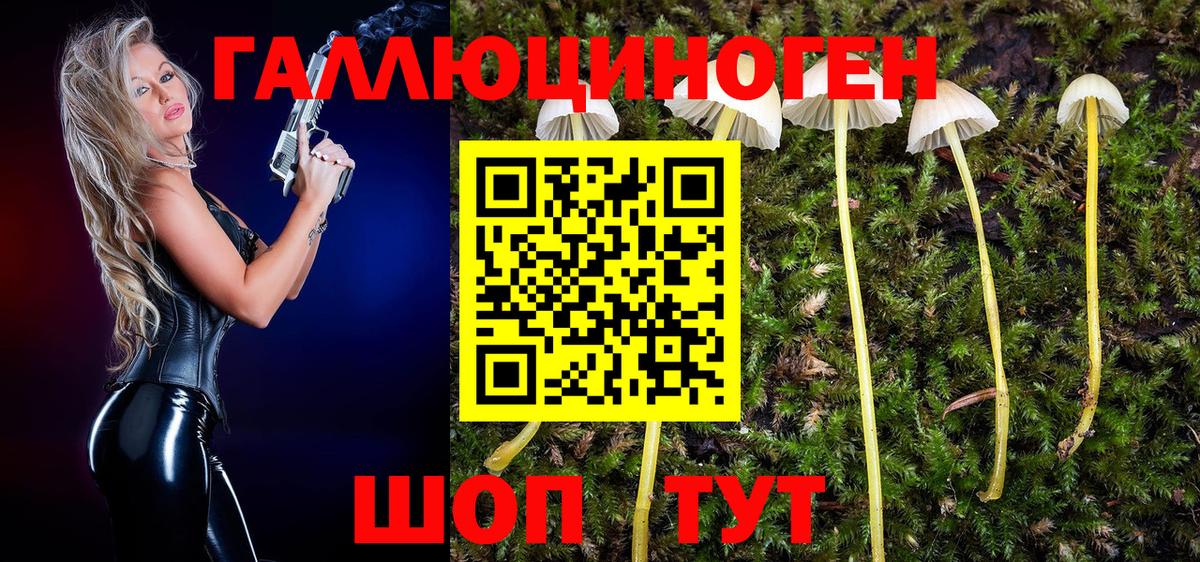 Псилоцибиновые грибы прущие грибы Малгобек