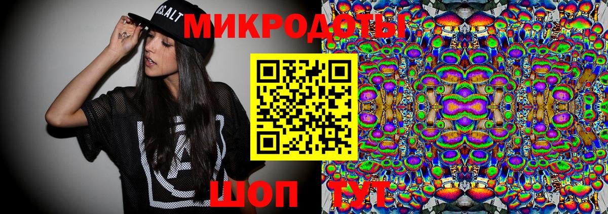 Малгобек  Галлюциногенные грибы Psilocybe  Вход с VPN 