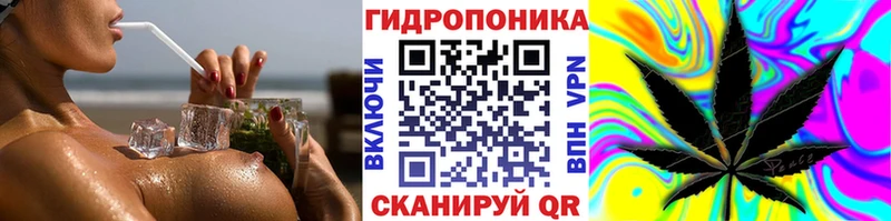 закладка Малгобек Марихуана OG Kush